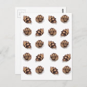 ミニパインコーン（白） ポストカード (正面/裏面)