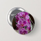ミニパレノプシスソゴヴィヴィアンパープルオーキッド 缶バッジ (正面&裏面)