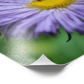 ミニビーオンパープルアスターデイジーフラワー自然8x10 フォトプリント (角)