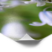 ミニビーオンブルーベルフラワー10x8自然 フォトプリント            (角)