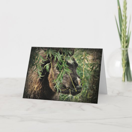 ミニビーズオネリー、誕生日 カード (正面)