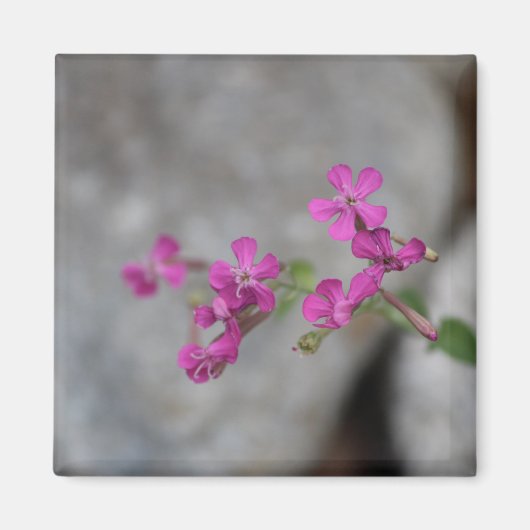 ミニピンクの花（石） マグネット (正面)