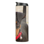 ミニピンシャーの黒さび タンブラー (回転右)