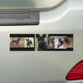 ミニピン バンパーステッカー (車上)