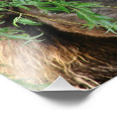 ミニフィリービイング フォトプリント            (角)