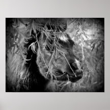 ミニフィリービイング