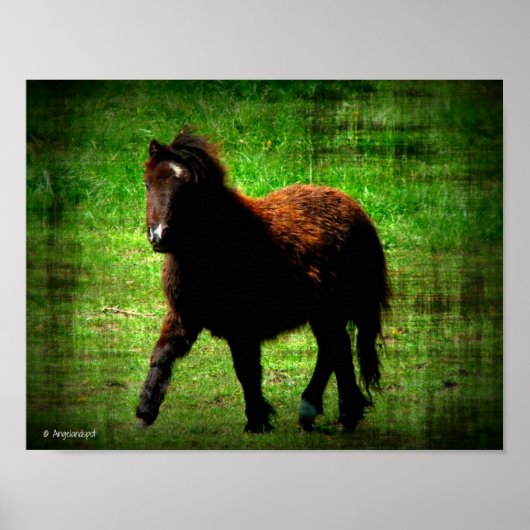 ミニフィリー ポスター (正面)