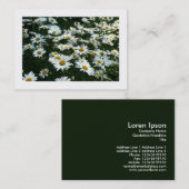 ミニフォトカード デイジー 名刺 (正面/裏面)
