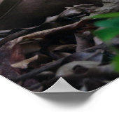 ミニフォレスト ポスター (角)