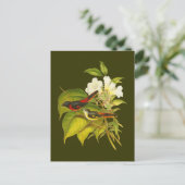 ミニベット ポストカード (スタンド正面)