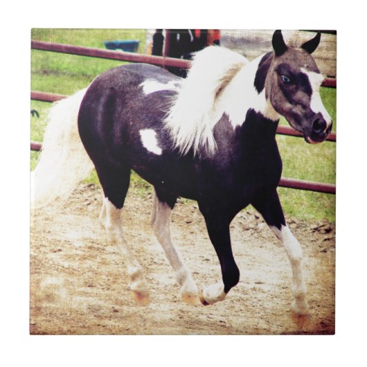 ミニホースアットリバティ タイル (正面)