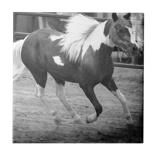 ミニホースギャロップ タイル (正面)