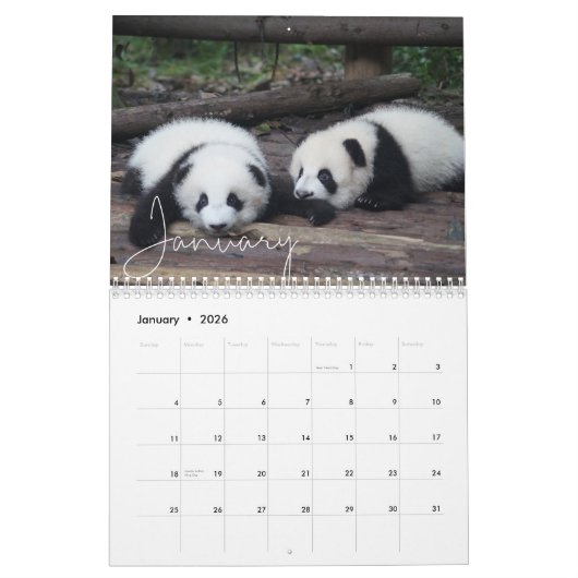 ミニマエレガントルモダンファミリーパーソナライズされたポー カレンダー (1月 2026)