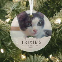 ミニマモダンリストのペットキャットの初めてのクリスマス写真