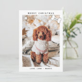 ミニマモダンリストメリーウォフマス シーズンカード (スタンド正面)