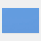 ミニマモダンリスト王室のライトブルー ラッピングペーパーシート (正面3)