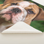 ミニマモダンリパーソナライズされたのペットフォトドッグ愛好家 シェルパブランケット (3/4)