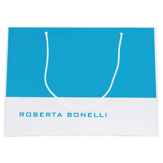 ミニマユニークモダンリスト青白 ラージペーパーバッグ (正面)