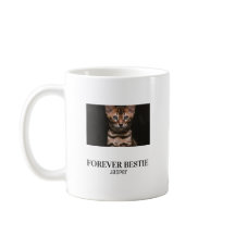ミニマリストな愛猫グッズ