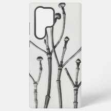 ミニマリストによる白黒自然撮影