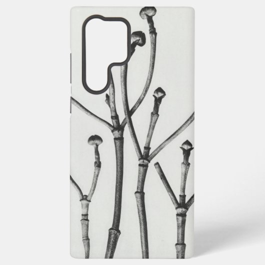 ミニマリストによる白黒自然撮影 SAMSUNG GALAXYケース (裏面)