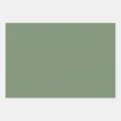 ミニマリストのセージ無地のグリーンエレガント平野 ラッピングペーパーシート (正面3)