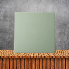 ミニマリストのセージ緑のプレーン無地のカラー タイル