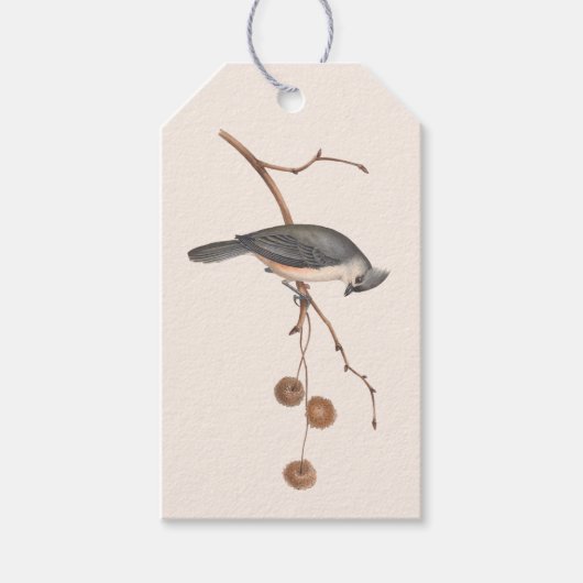 ミニマリストのピンクとグレーの鳥の冬の贈り物ラベル ギフトタグ (正面)