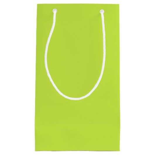 ミニマリストのライムグリーン無地のプレーン スモールペーパーバッグ (正面)