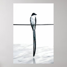 ミニマリストの電線上の鳥の写真