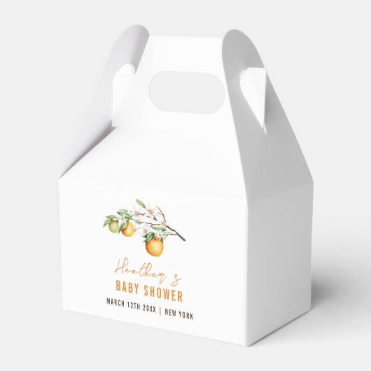 ミニマリストサマーオレンジシトラスベビーシャワー フェイバーボックス (正面サイド)