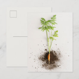 ミニマリストボタニカルなニンジンの芽の写真 ポストカード