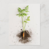 ミニマリストボタニカルなニンジンの芽の写真 ポストカード (正面)
