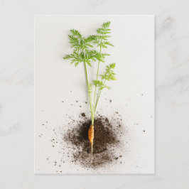 ミニマリストボタニカルなニンジンの芽の写真 ポストカード