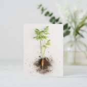 ミニマリストボタニカルなニンジンの芽の写真 ポストカード (スタンド正面)