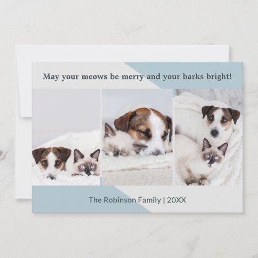ミニマリスト犬の猫の写真コラージュのクリスマスモダン シーズンカード (正面)