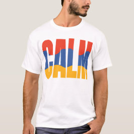 ミニマリスト英字ステッカー Stay Calm Tシャツ