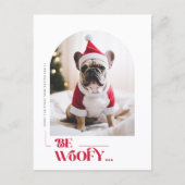 ミニマリスト おもしろ 犬 ペットアーチ クリスマス 写真 (正面)