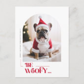 ミニマリスト おもしろ 犬 ペットアーチ クリスマス 写真 (正面)