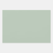 ミニマリスト パステル ソリッド カラー セージ グリーン テーマ ラッピングペーパーシート (正面3)