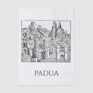 ミニマリスト パドヴァ 中世 スカイライン ラインアート 薄葉紙