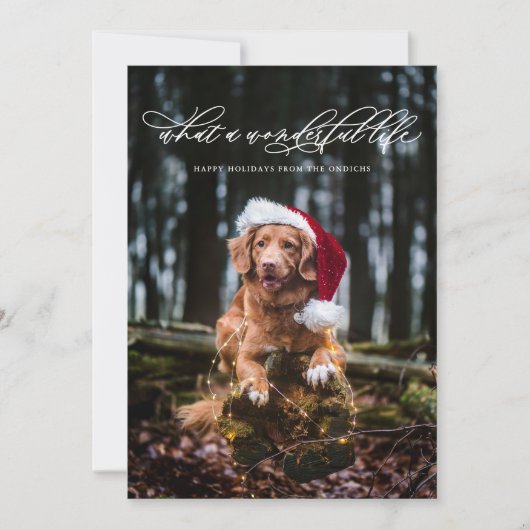 ミニマリスト ワンダフルライフ 書道 白 シーズンカード (正面)