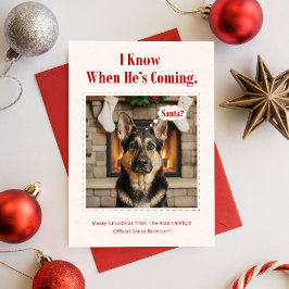 ミニマルかわいい犬の面白いペットの写真クリスマス シーズンカード