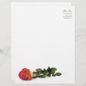 ミニマルでモダンで赤い黄色バラ個人的なレターヘッド レターヘッド (正面/裏面)