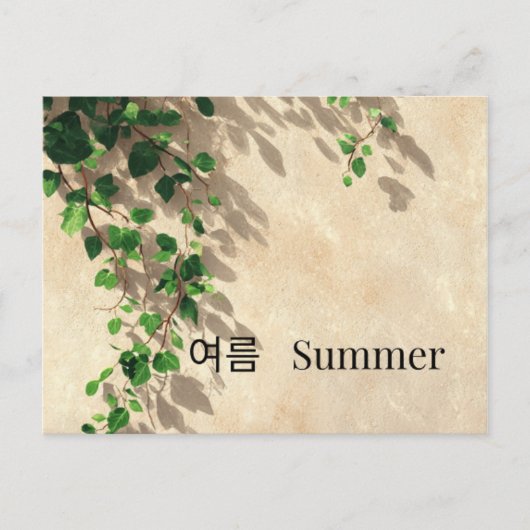 ミニマルなアイビーの夏の植物学ポストカード 韓国語 英語 ポストカード (正面)