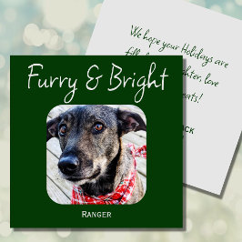 ミニマルなグリーンペットフォトクリスマスカード シーズンカード