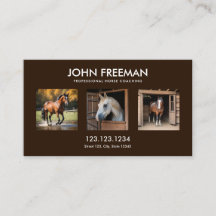 ミニマルなダークブラウン馬の写真ウマ科の