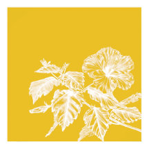 ミニマルなハイビスカスフラワーラインアート