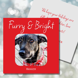 ミニマルなペットフォトクリスマスカード シーズンカード