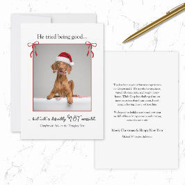 ミニマルな面白い犬猫ペットのクリスマスカード シーズンカード